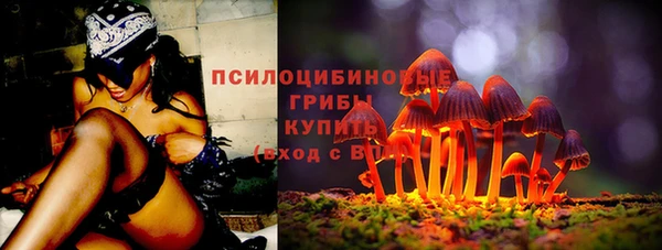 кокс Ладушкин