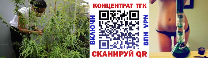 ТГК концентрат  Купить закладки  Благовещенск 
