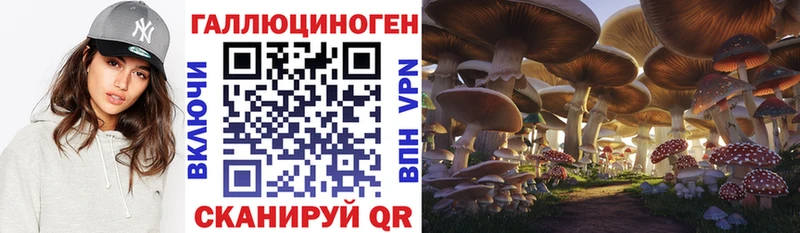 Купить закладки  Благовещенск  Псилоцибиновые грибы Psilocybine cubensis 